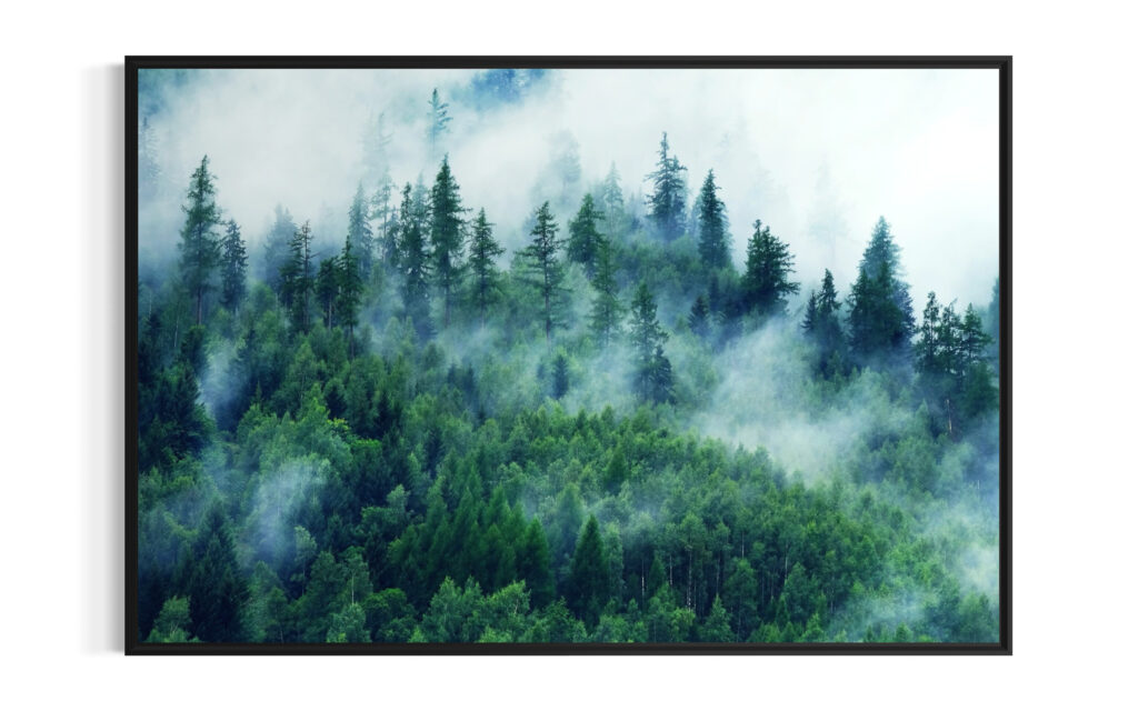 Obraz w ramie RIIMARE Rama Foggy Forest