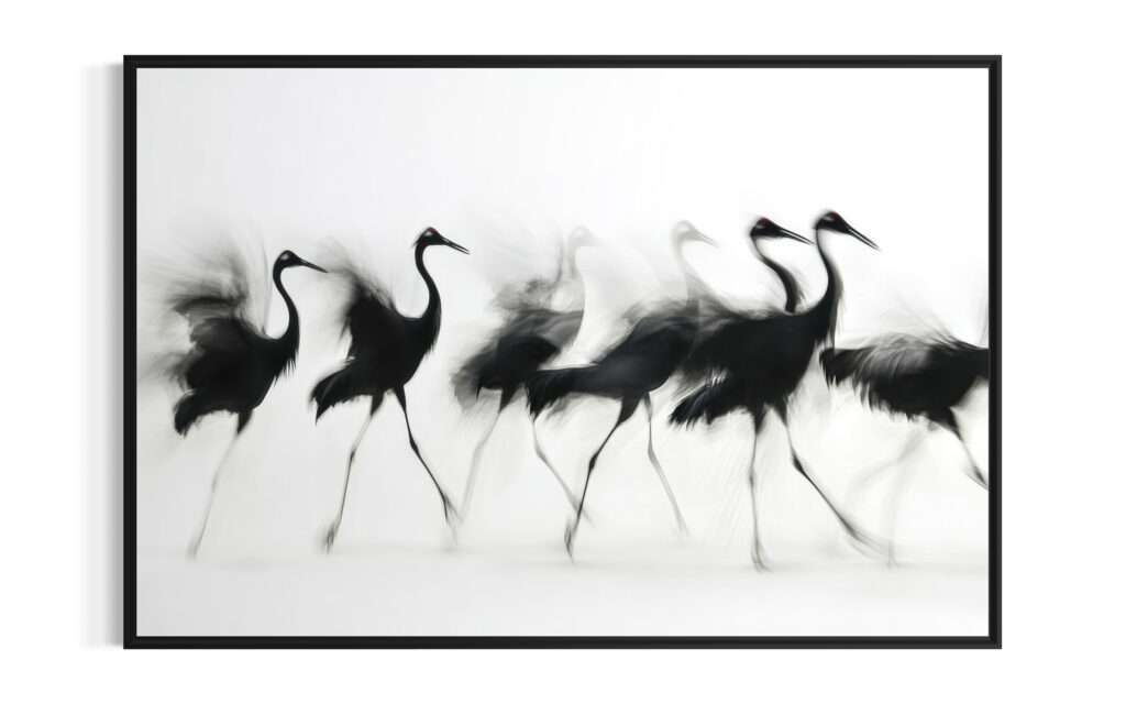 Obraz w ramie RIIMARE Rama Cranes In Motion