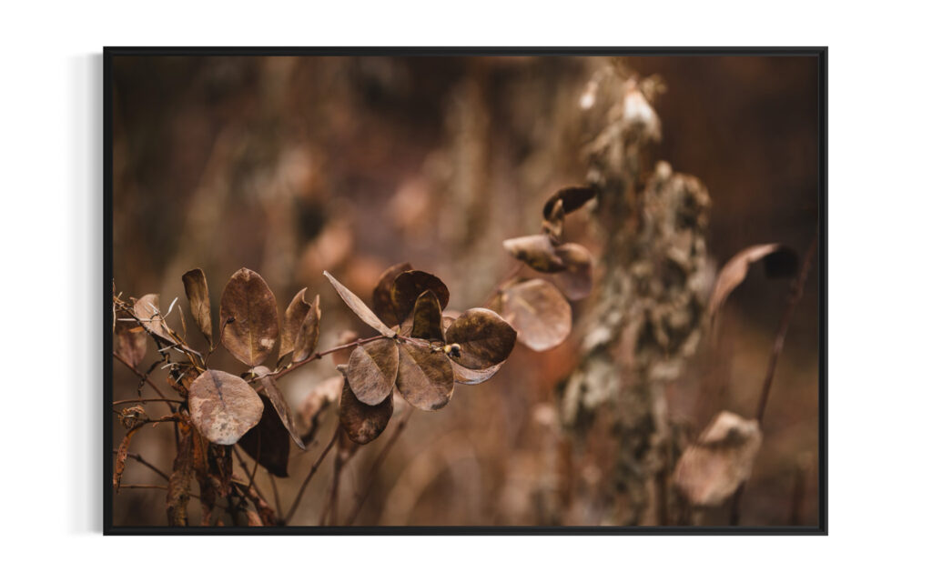 Bild im Rahmen RIIMARE Rahmen Dry Leaves