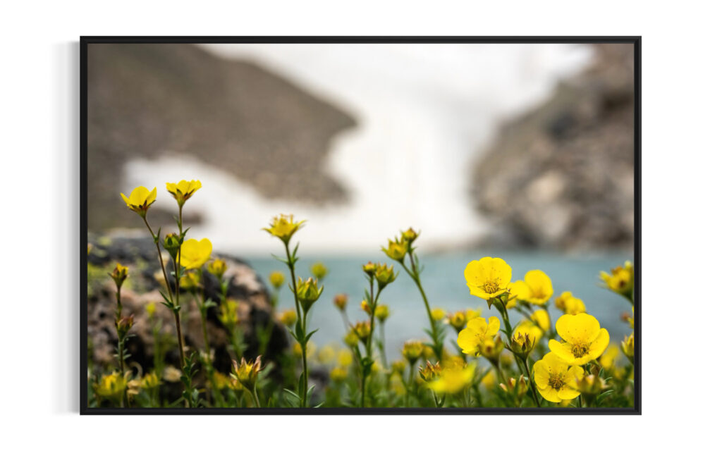 Bild im Rahmen RIIMARE Rahmen Yellow Flowers