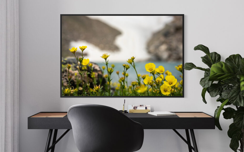 Framed painting RIIMARE Frame Yellow Flowers